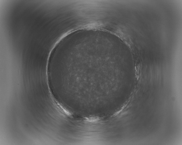 X0000071760196200607071244