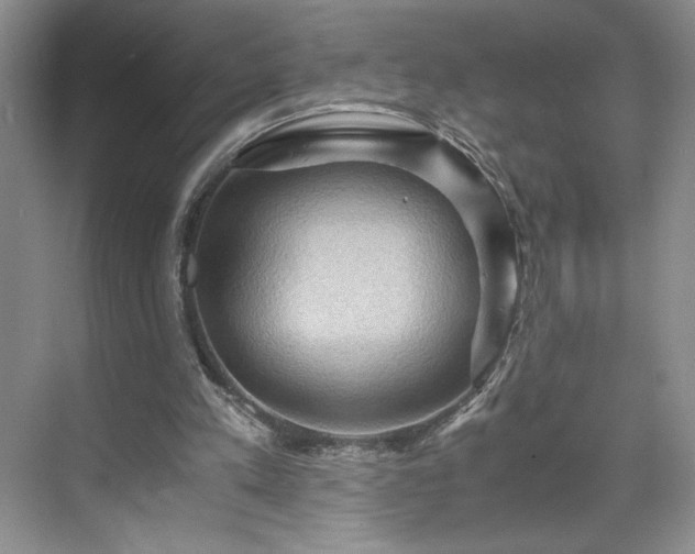 X0000071760197200607071244