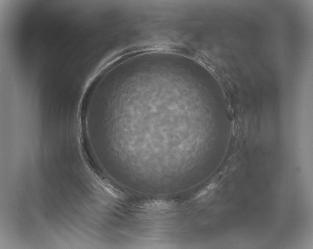 X0000071760198200607071244