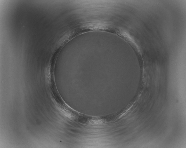 X0000071760202200607071244