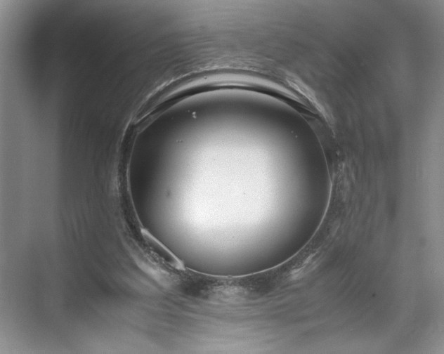 X0000071760203200607071244