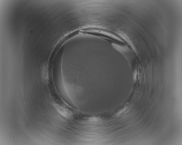 X0000071760204200607071244