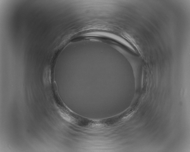 X0000071760205200607071244