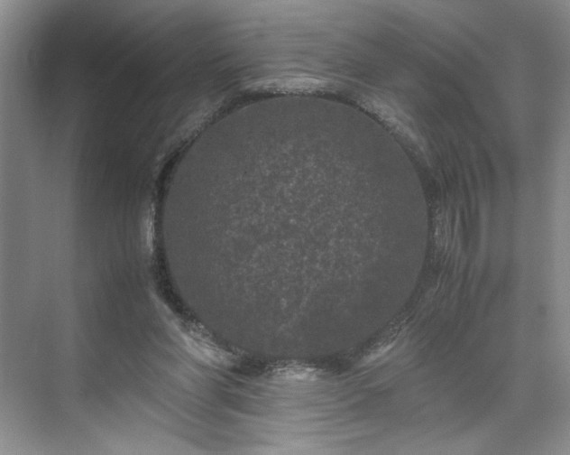 X0000071760206200607071244