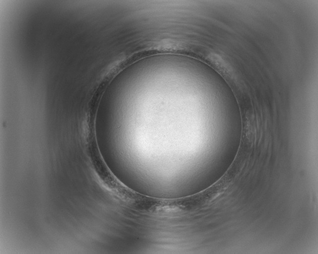 X0000071760208200607071244