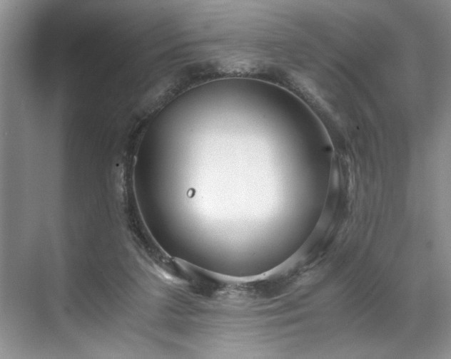 X0000071760211200607071244