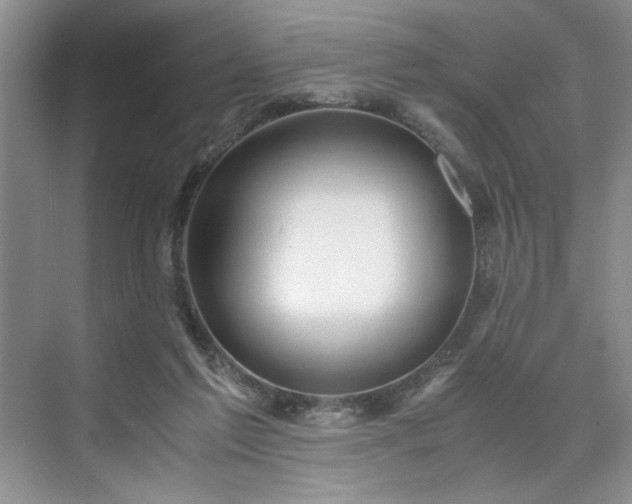 X0000071760213200607071244