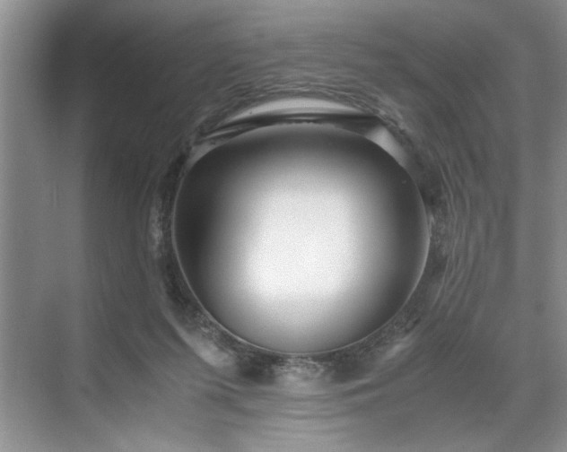 X0000071760215200607071244