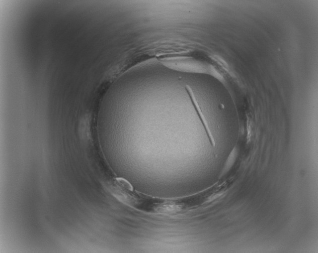 X0000071760217200607071244