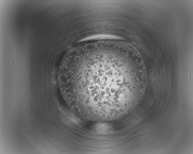 X0000071760218200607071244