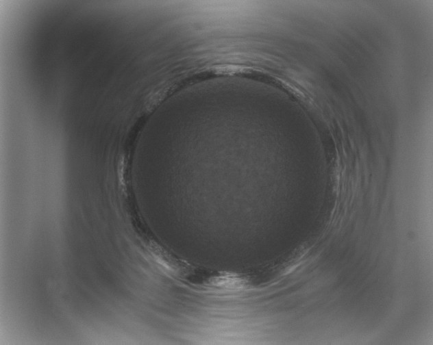 X0000071760219200607071244