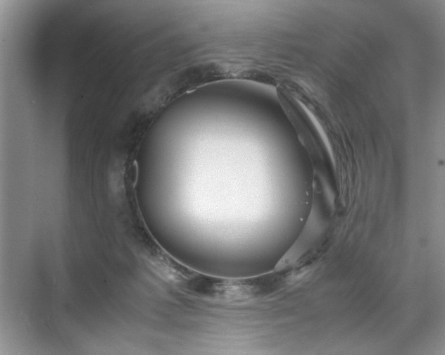 X0000071760221200607071244