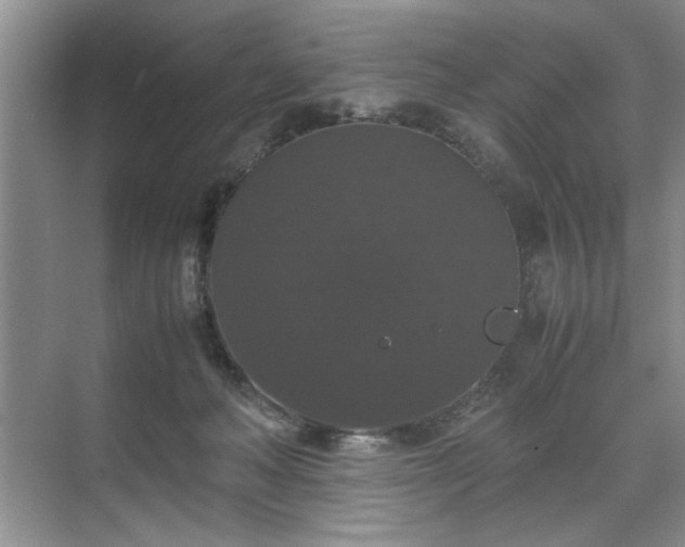 X0000071760222200607071244