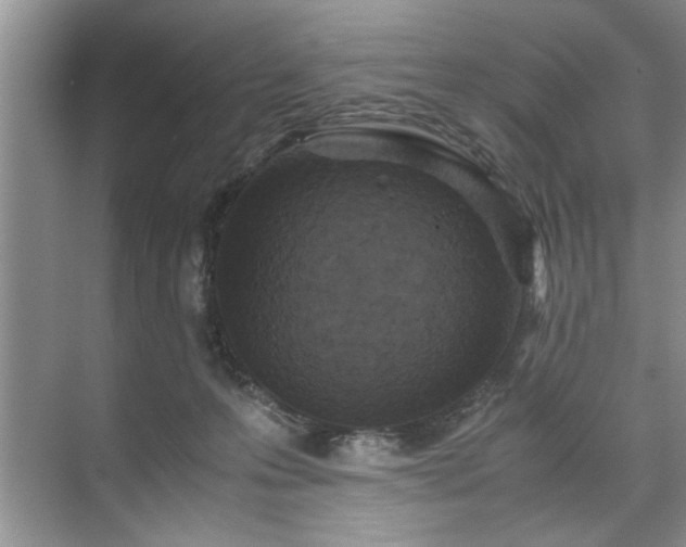 X0000071760223200607071244