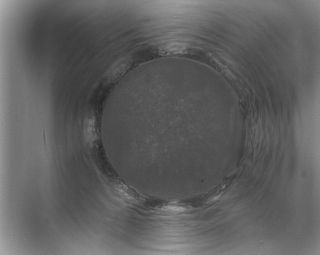 X0000071760224200607071244