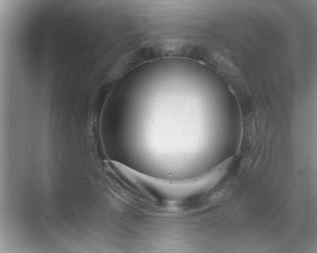 X0000071760225200607071244