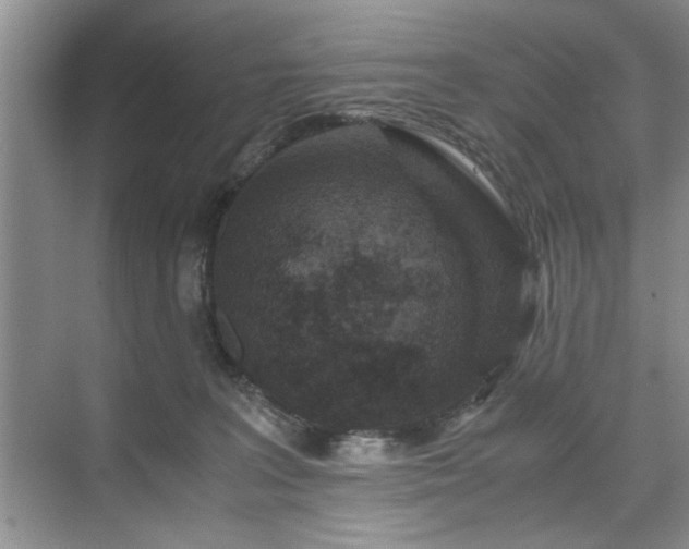 X0000071760227200607071244