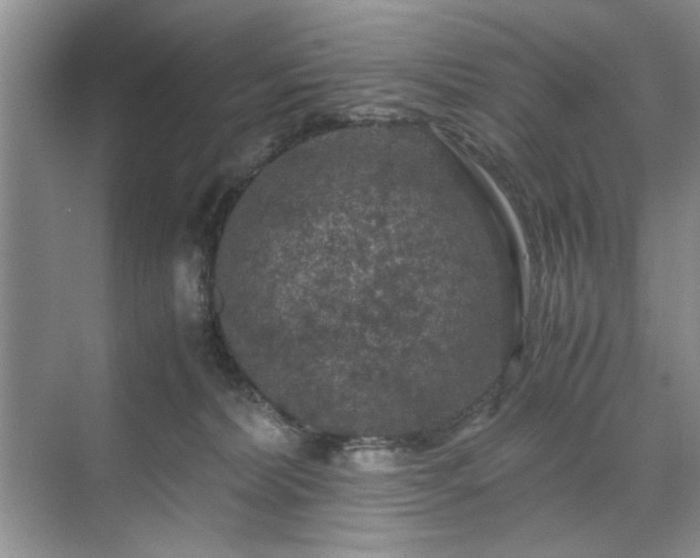 X0000071760228200607071244