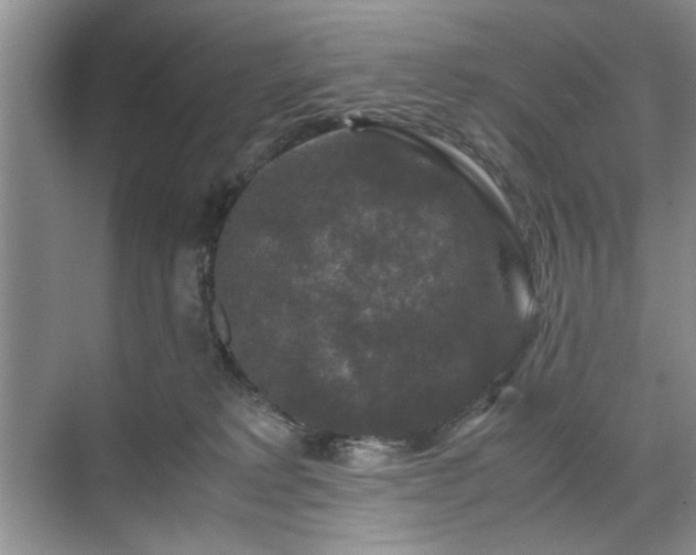 X0000071760229200607071244