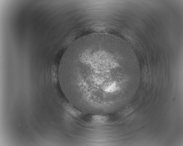 X0000071760234200607071244