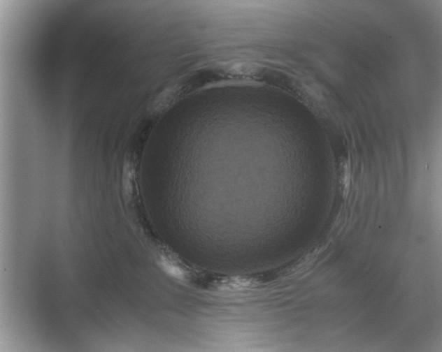 X0000071760235200607071244