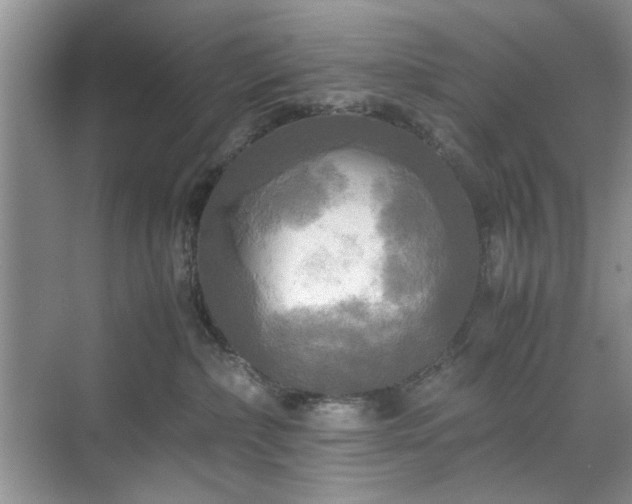 X0000071760236200607071244