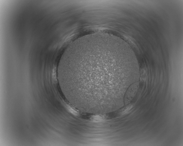 X0000071760238200607071244