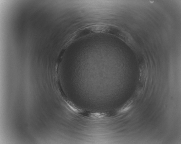 X0000071760239200607071244