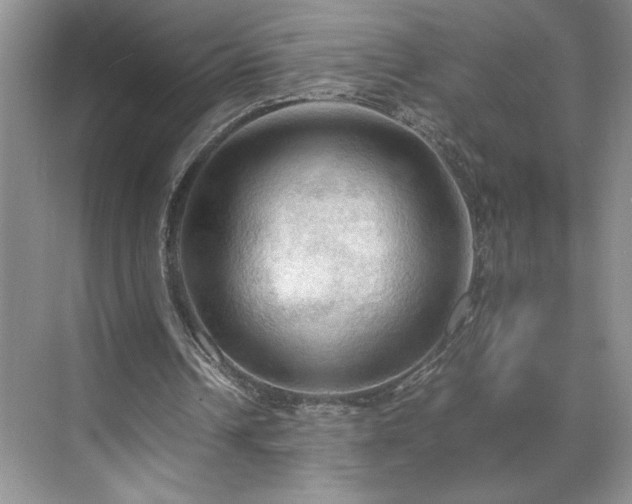 X0000071760242200607071243