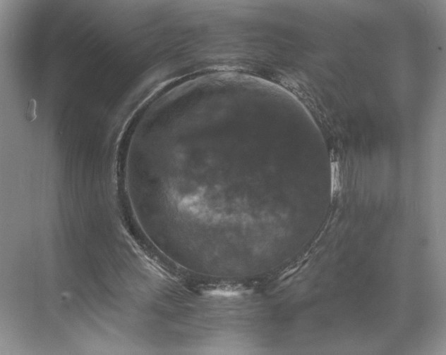 X0000071760243200607071243