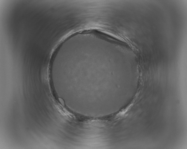 X0000071760244200607071243