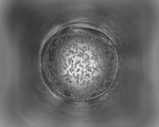 X0000071760245200607071243