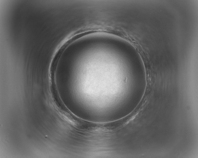 X0000071760246200607071243