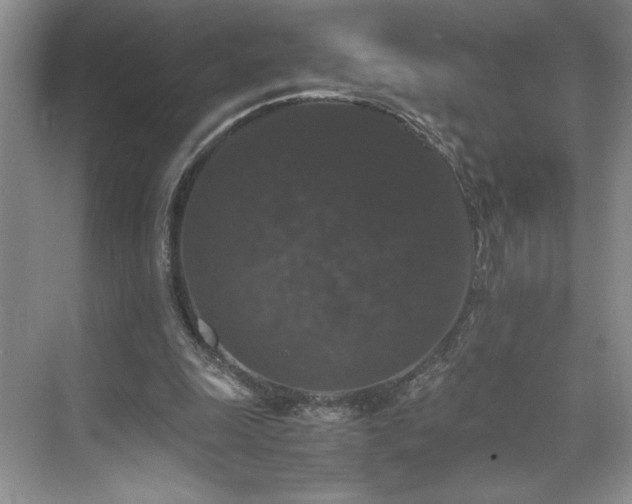 X0000071760247200607071243