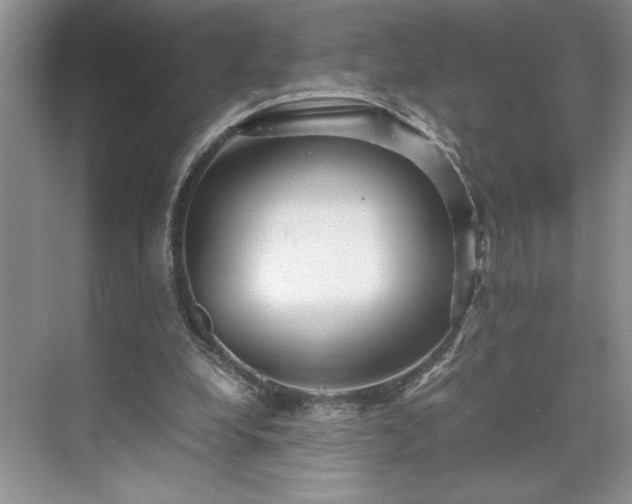 X0000071760248200607071243