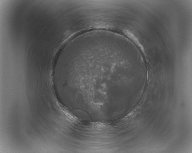 X0000071760249200607071243