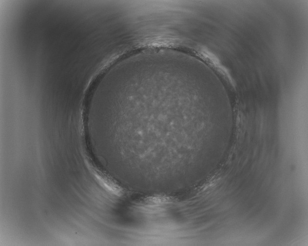 X0000071760250200607071243