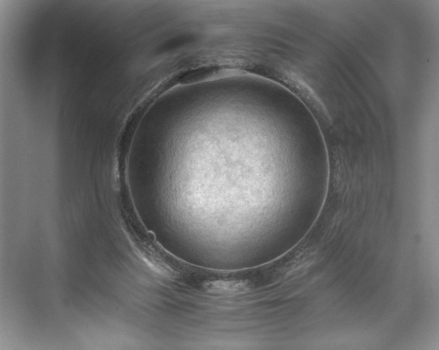 X0000071760251200607071243