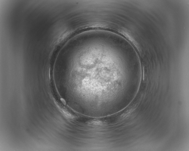 X0000071760253200607071243