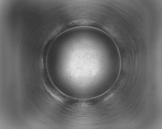 X0000071760254200607071243