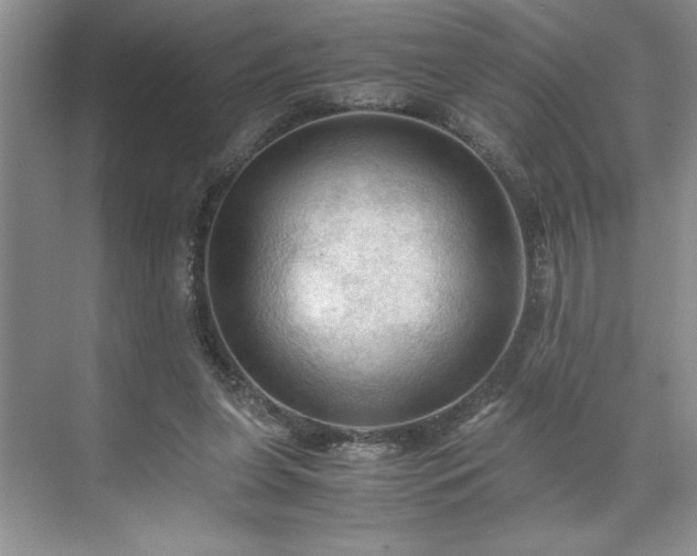 X0000071760255200607071243