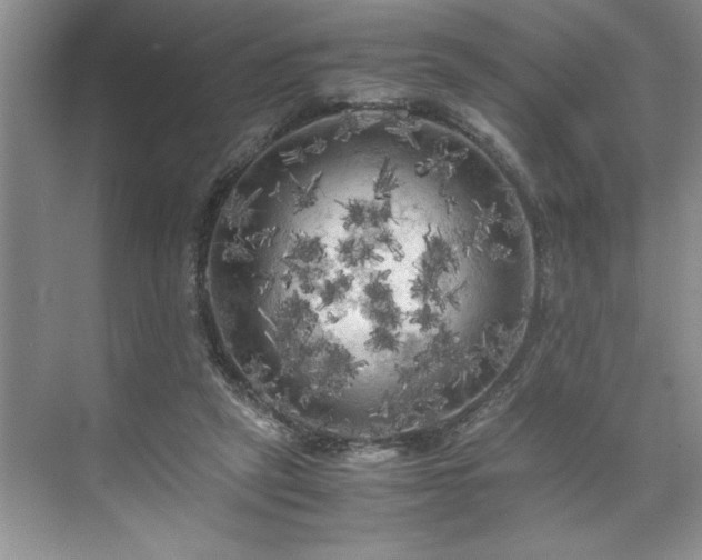 X0000071760257200607071243