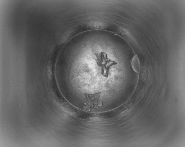 X0000071760259200607071243