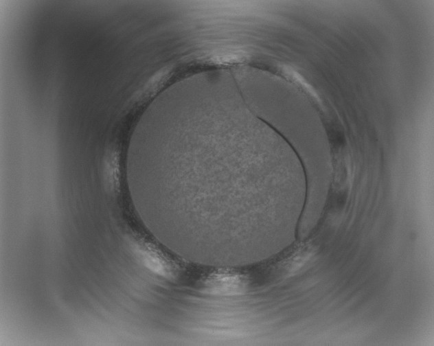 X0000071760260200607071243