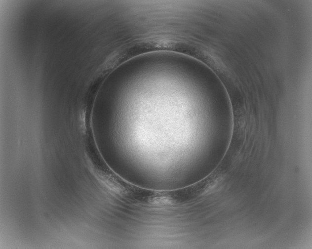 X0000071760262200607071243