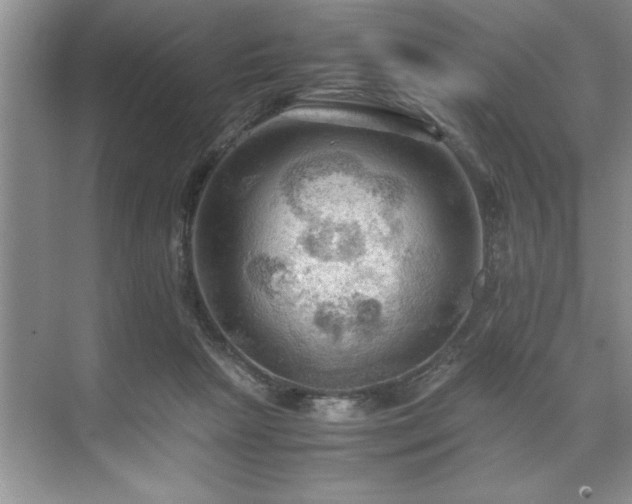 X0000071760265200607071243