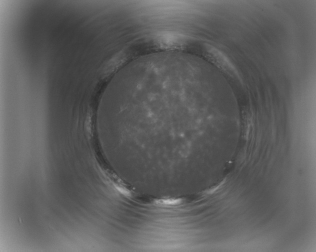 X0000071760266200607071243