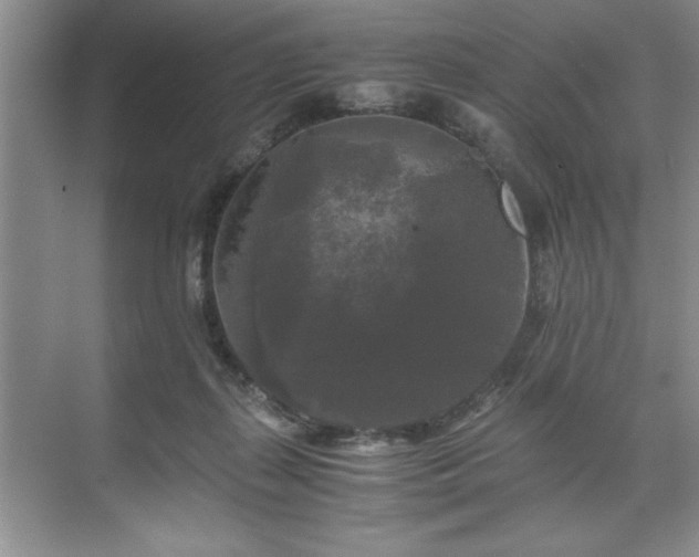 X0000071760267200607071243