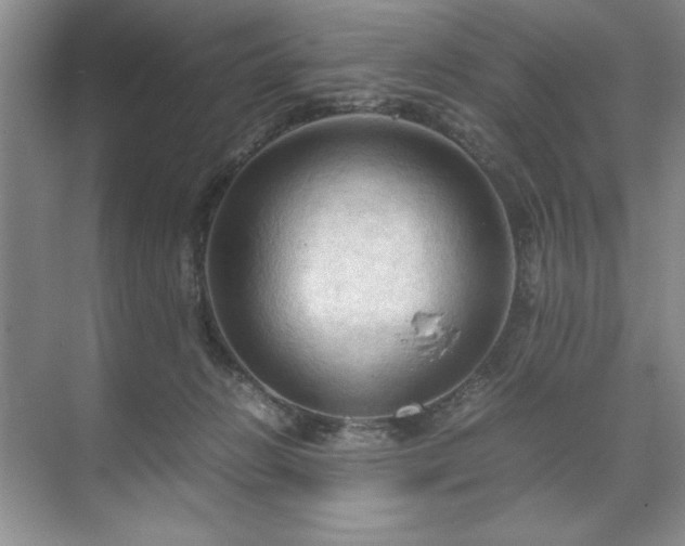 X0000071760270200607071243