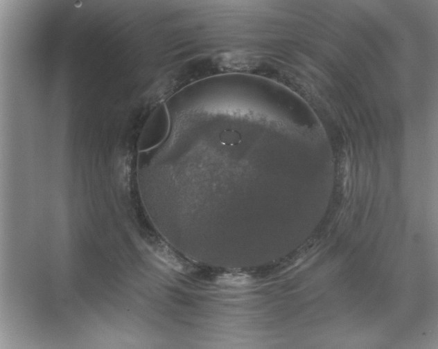 X0000071760271200607071243